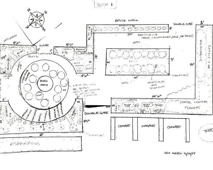 Amanda Macejko year 1 garden plan
