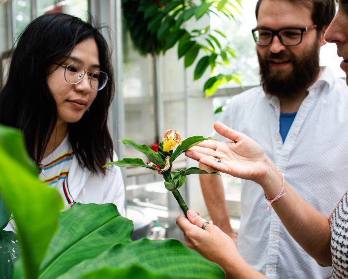 graduate students examine flower in conservatory