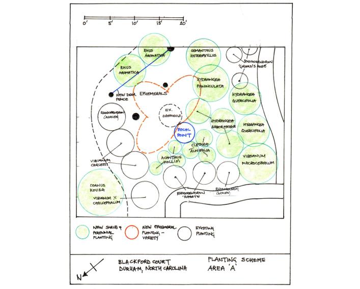 detail of dabson's final planting scheme