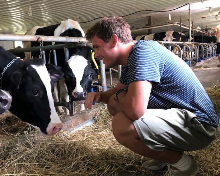 Matthew Ponticiello crouching in a barn next to cows