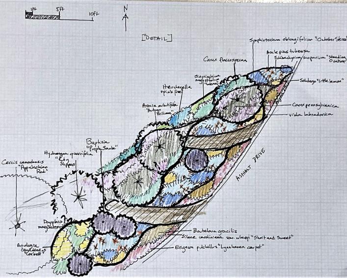 sketch of perennial location details