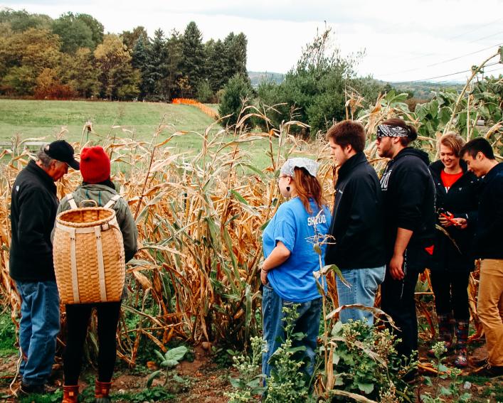 Hands-on demonstration on the process of harvesting Iroquois White Corn.