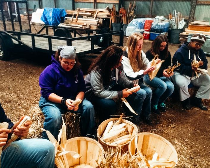 Students husking and braiding corn.