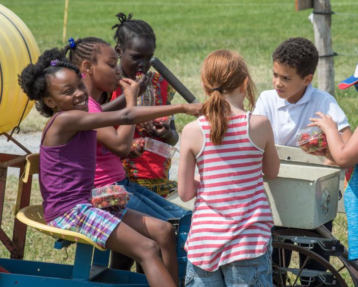Buffalo school children on a farm visit 