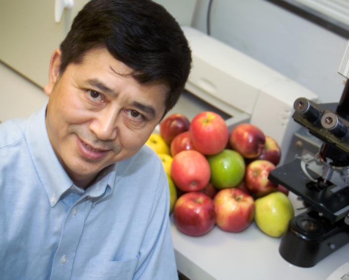 main in button up shirt sitting in front of apples