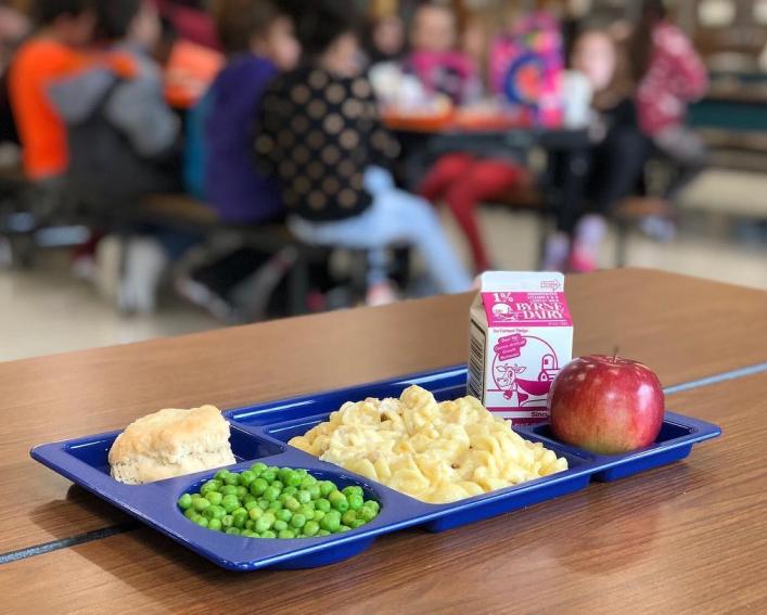 School Lunch tray with milk, peas, apple, pasta, roll