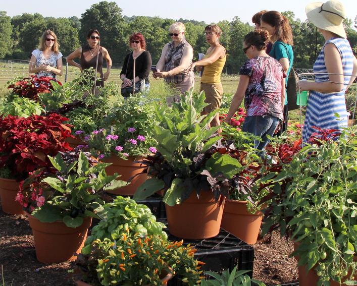 group looking at container demo