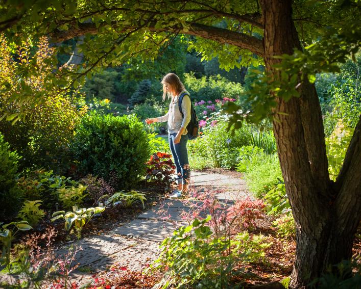 Girl in garden examining a plant 