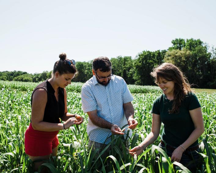 two women and man looking at young corn in the field