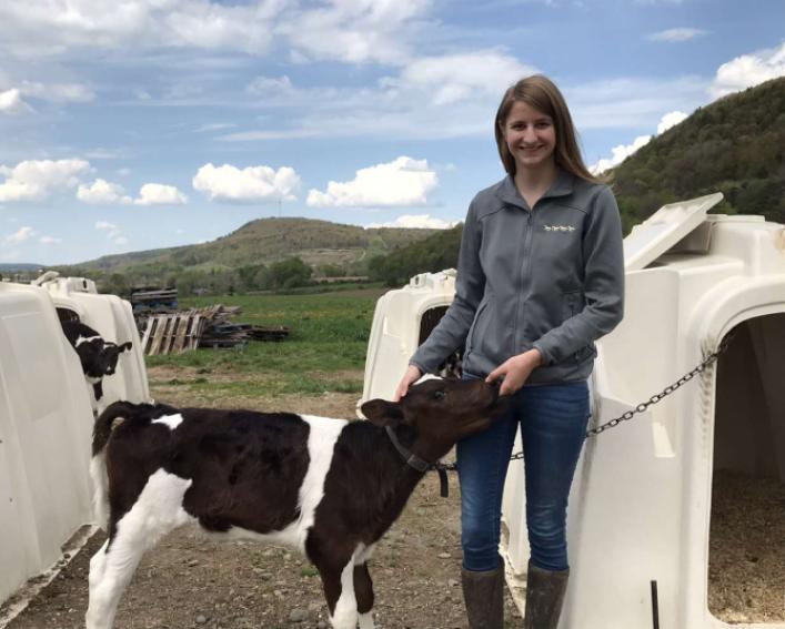 A person standing next to a baby cow outside