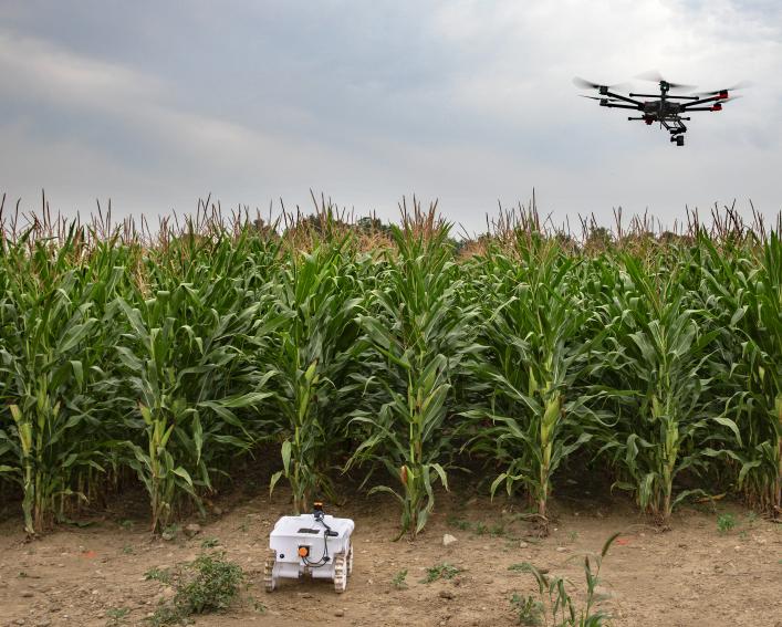 robot and drone in corn field