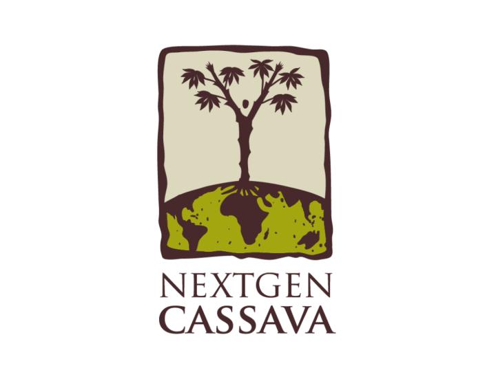NextGen Cassava