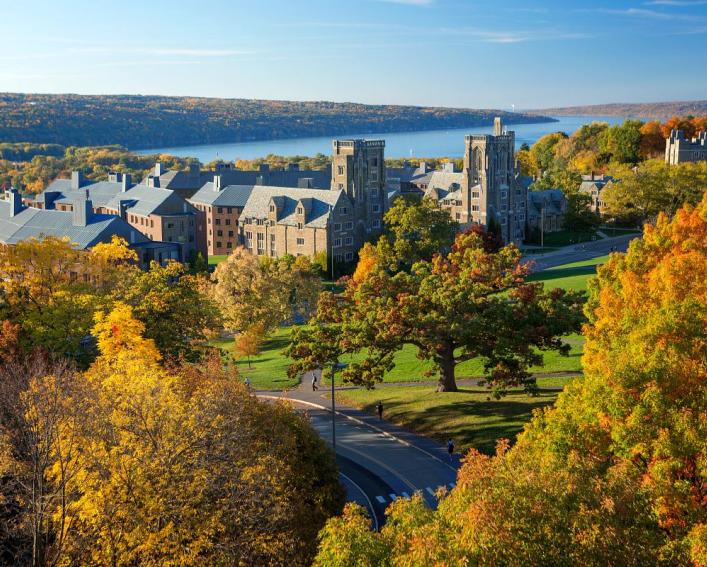 Cluster of ornate stone buildings in autumn, with Cayuga Lake in the background.