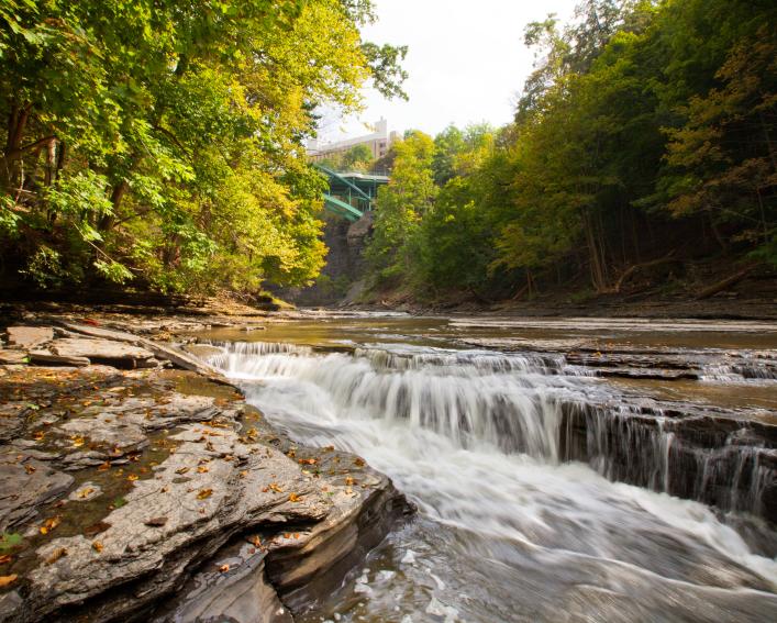 A creek runs through a wooded gorge with a bridge in the background