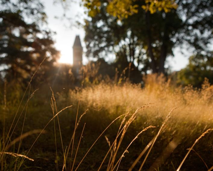 A field of grass frames McGraw tower in the background