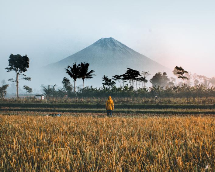 A person in a field in Indonesia