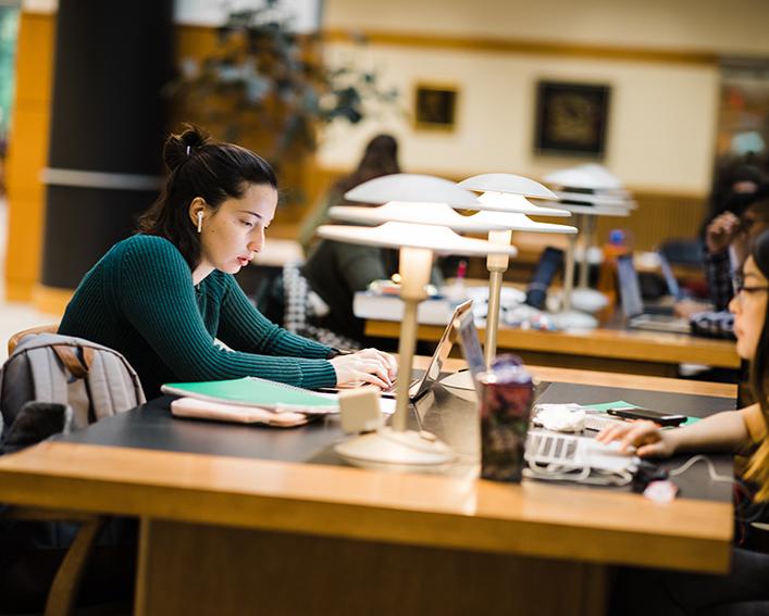 A student studies in Mann Library