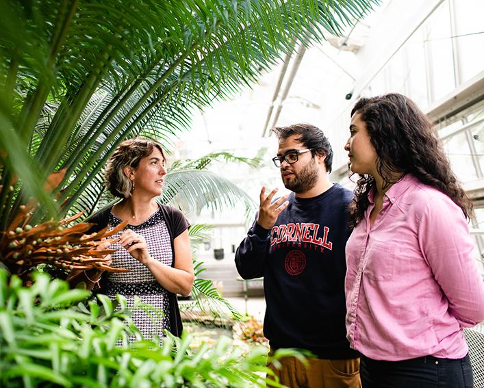 A faculty member talks to students about plants.
