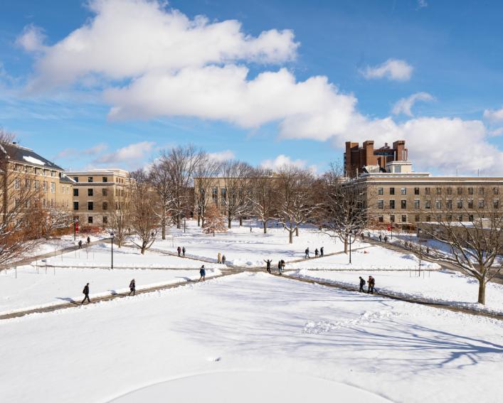 The CALS Ag Quad
