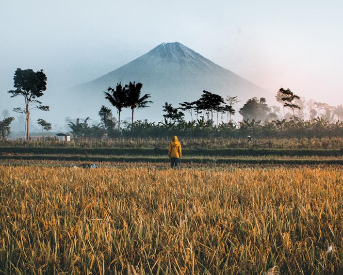 A person in a field in Indonesia