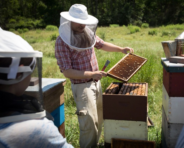 A beekeeper demonstrates removing frames from a beehive.