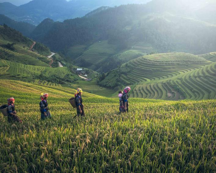 women in field