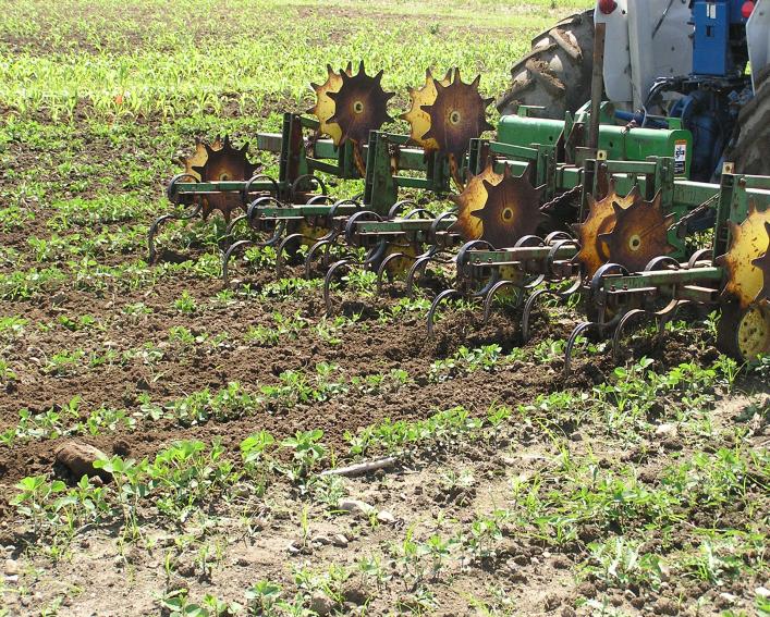jd 825 s tine cultivator