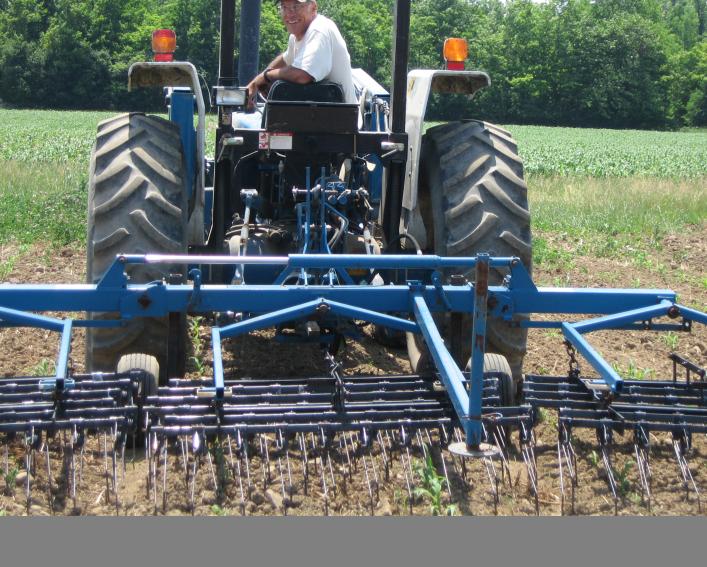 rabe tine weeder