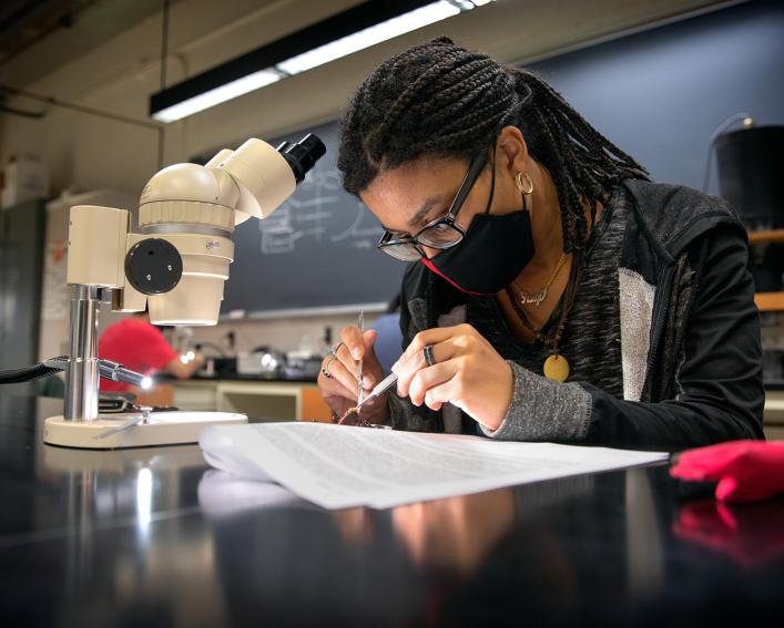 A student in an entomology lab in Comstock Hall.