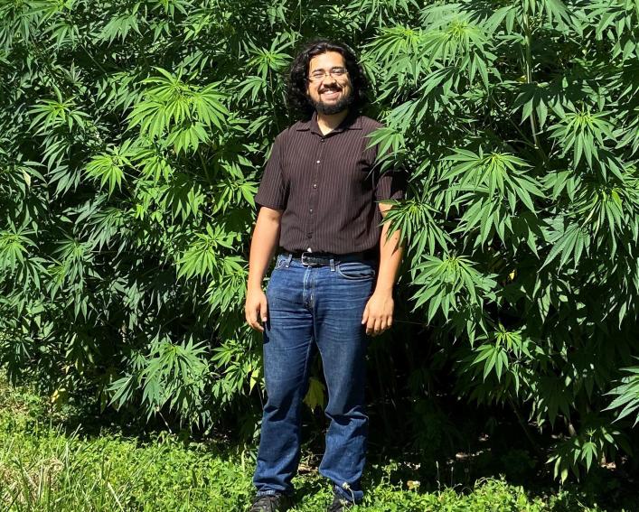 Man poses in front of hemp plants.