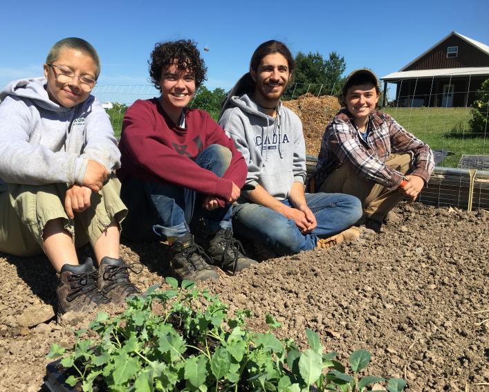 Four students sit while working at Dilmun Hill Farm