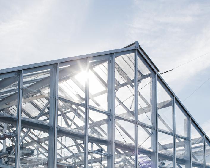 metal greenhouse roof in the sun