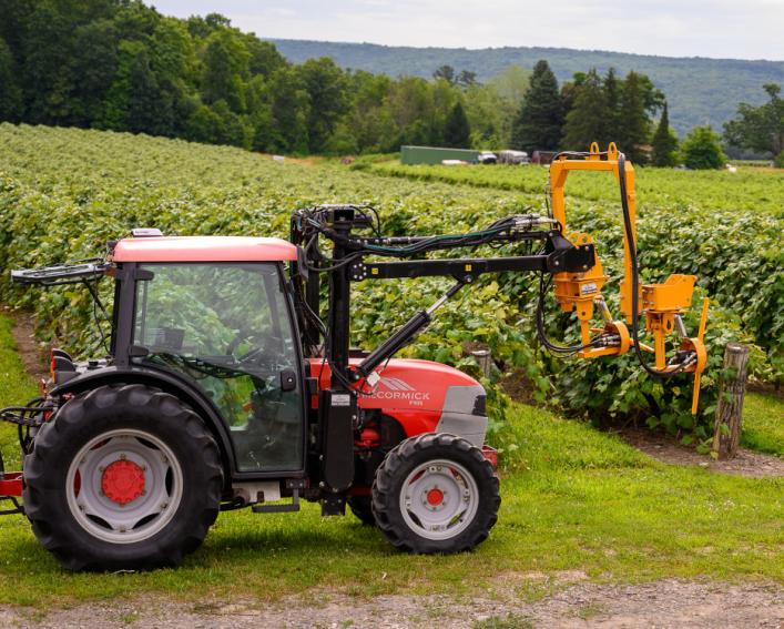 A harvesting tractor in front of extensive grapevines
