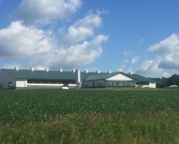 A view of a dairy farmstead