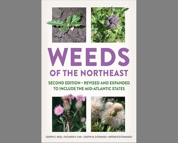 weeds of the northeeast cover