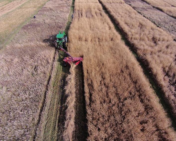 Spacialty farm equipment in use on fields 