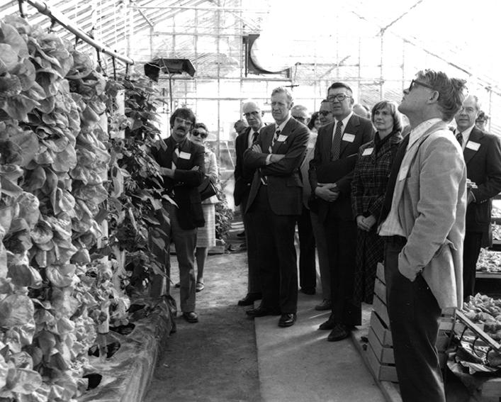 Black & white photo of peole in a greenhouse looking at lettuce growing verticallywing 
