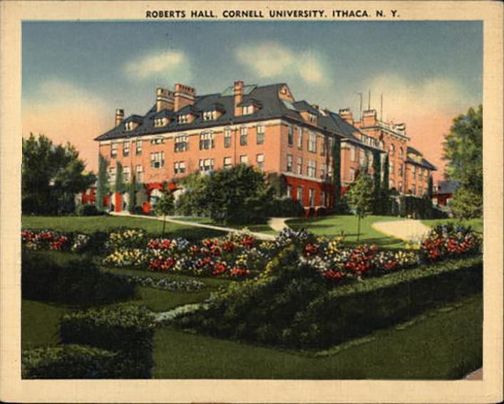 Colored drawing of a large brick building and flower gardens