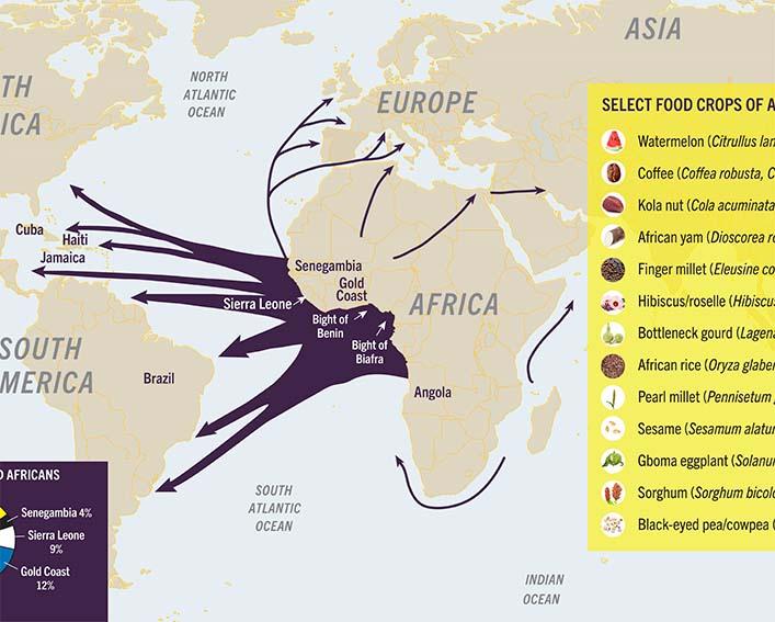 map showing migration of crops from Africa to the Americas