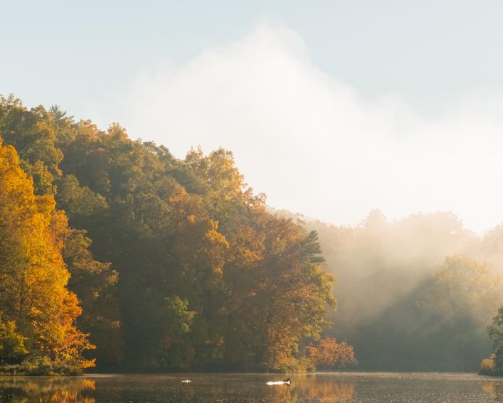 Photo of a lake with fall foliage with a thick fog over the water.