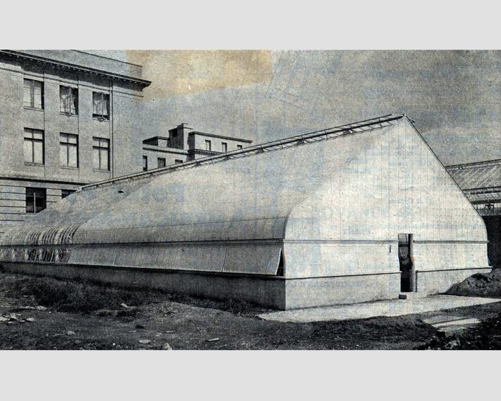 Black and white photo of old greenhouse