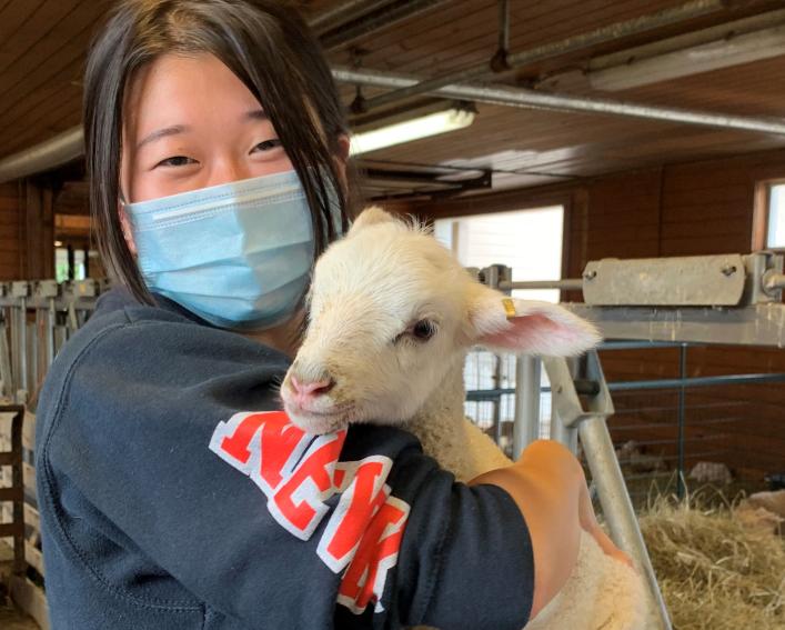 Elisa Kim holding lamb