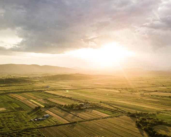landscape of fields