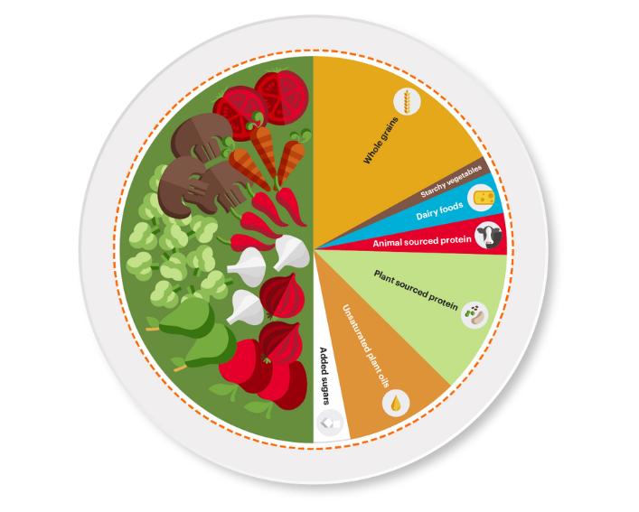 planetary health diet