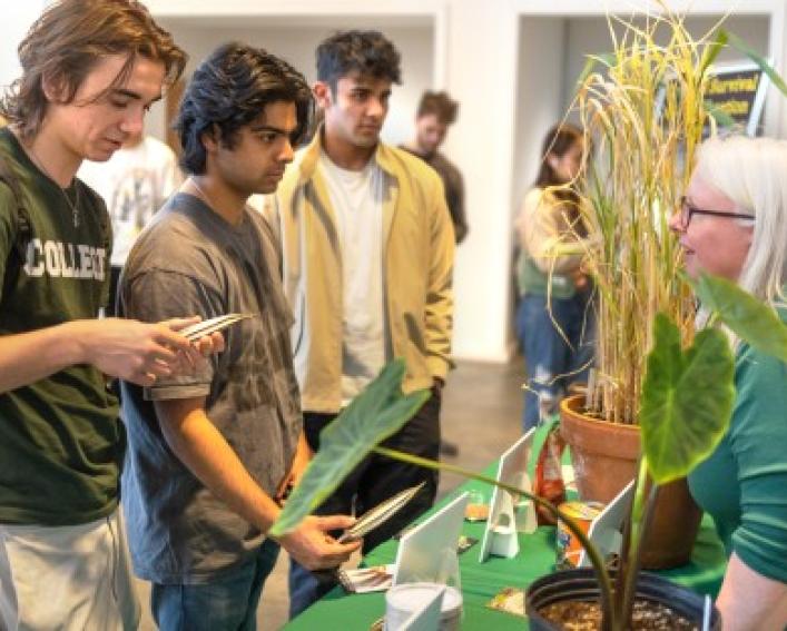 students perusing display in dining hall