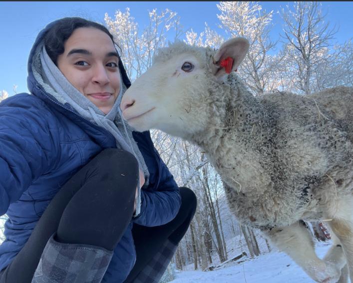 Girl standing next to sheep