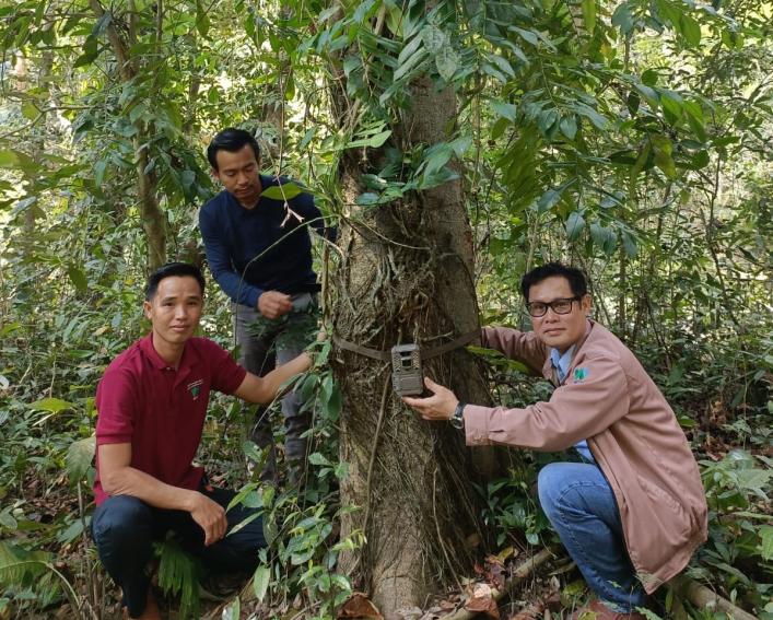 Men near tree
