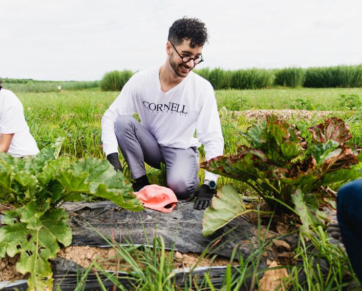 Juan Luis Gonzalez Giron works in a research field with another student.