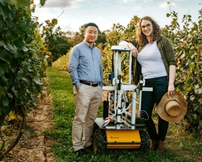 Two people and a robot in a vineyard