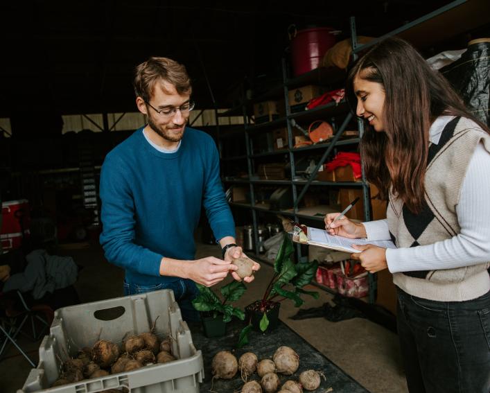 Two people examine beets in a storage area